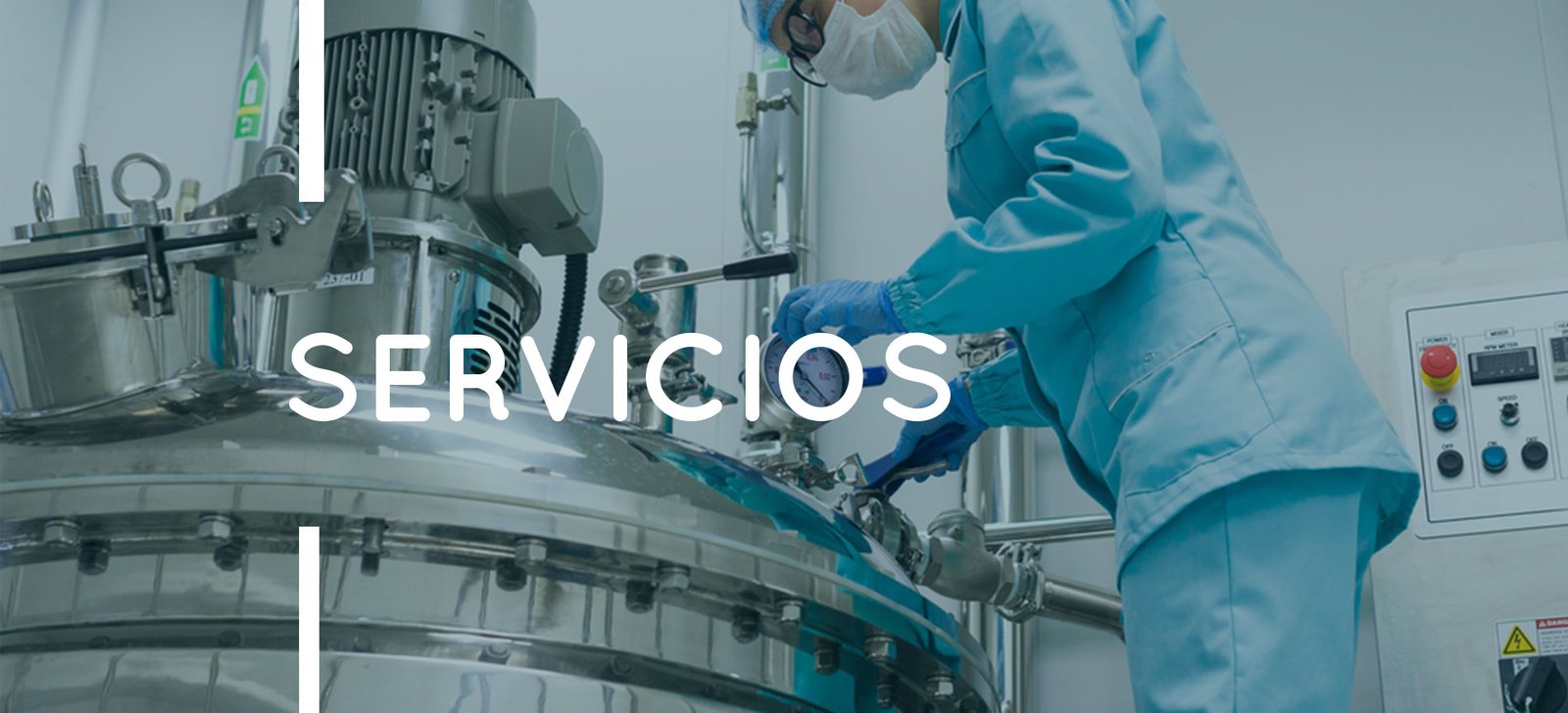 Servicios